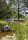 Pond with flowering perennials and trees in summer garden