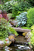 Small waterfall in a lush rock garden with hosta plants