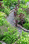 Gravel path surrounded by lushly planted flower beds