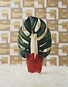 Monstera leaf and white asparagus in a red glass jar on a fur rug