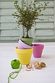 Colorful flower pots and bulbs on a light surface, spool of string next to them