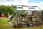 Greenhouse, plants and barrels in the garden, trees in the background