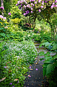 Winding garden path with blooming rhododendron in summer