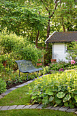 Metal bench and garden shed surrounded by lush greenery in the summer garden