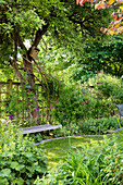 Green garden with wooden bench under a tree