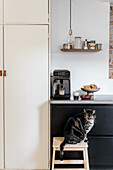 Kitchen with espresso machine, shelf and cat on stool