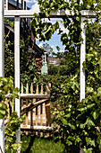 Wooden gate and pergola in a lush garden in summer