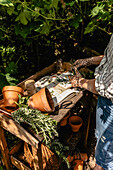 Plant table in the garden with terracotta pots and scissors