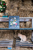 Still life with flower painting and cat on wooden bench in front of straw bales