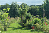 Landscaped garden path with lush greenery