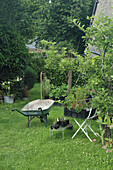 Garden area with wheelbarrow and plants