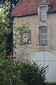 Stone house with tower clock and roses in the foreground