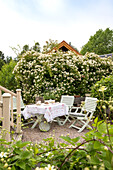 Terrace with flowering shrub, covered garden table