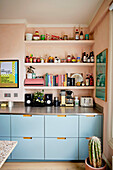 Kitchen with blue cupboards, shelves and cactus in the corner