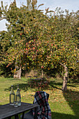 Autumnal garden with apple tree and outdoor tables