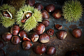 Sweet chestnuts (Castanea sativa) with and without spiny skin on a dark background