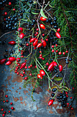 Branches of rose hips (Rosa canina) and juniper (Juniperus) with berries on a rusty background