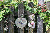 Wooden fence with heart decoration and flowering blackberry vines in the summer garden