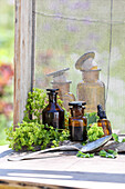Alte Apothekerfläschchen mit Alchemilla auf Holztisch im Garten