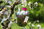 Easter basket with painted eggs and flower hangs in the blossoming apple tree