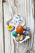 Easter egg, quail eggs and pansies in an egg carton on a wooden base