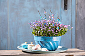 Blue Guglhupf mould with forget-me-nots, tins with lids and meringue on a rustic wooden bench