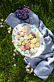 Colourful meringue on a serving platter, blue blanket and forget-me-nots on a green meadow