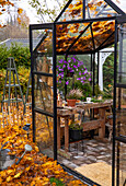 Glasgewächshaus mit Holztisch und blühenden Pflanzen im Herbst
