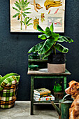 Vintage interior with banana plant on green table and botanical poster