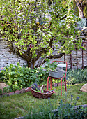 Vegetable garden with harvest basket and folding chair under fruit tree
