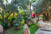 Terrakotta-Gefäße im Garten mit Olivenbäumen und rotem Schuppen