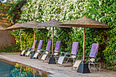Liegestühle mit lila Handtüchern und Sonnenschirmen aus Stroh am Pool vor Bougainvillea-Hecke