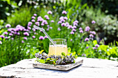 Sour honey with guelder rose (Oxymel)