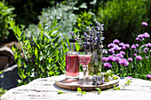 Günsel wine for sleep disorders
