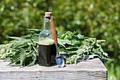 Nettle fresh plant juice - diuretic, detoxifying, rich in vitamin C and iron
