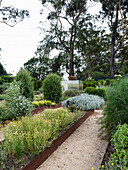 Gin garden with herbs for gin production