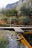 Natural pool with wooden jetty and water lilies, surrounded by lavender and olive trees