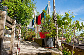Wäscheleine in einem Garten, in den Weinbergen oberhalb von Vernazza, Cinque Terre, Italien