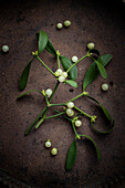  Mistletoe with white fruits on rusty background  