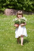 A little girl holding two flowerpots of daises