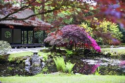 Japanese garden with tea house and pond