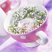 Pink rose with baby's breath in spotted cup