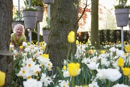 Blond girl in garden among narcissi and tulips