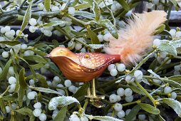 Orange glass bird among mistletoe