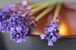 Lavender sprigs with flowers on a bowl