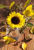 A sunflower in a jar with chokeberries