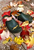 Garden shoes in autumnal leaves