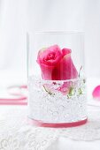 Rose im Glas mit Dekosteinen