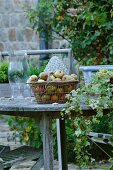 Fresh apples in basket on garden table