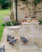 Hühner auf Terrasse, Birnen und Wein auf Gartentisch